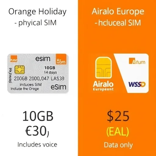 3–Traveling to Europe? Here’s How to Choose the Best SIM Card for Your Trip–ElianeSIM