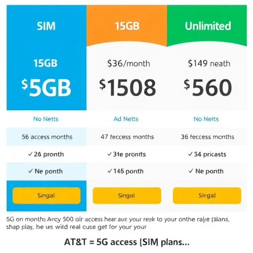 2–Traveling to the US? Here’s What You Need to Know About AT&T eSIM–ElianeSIM